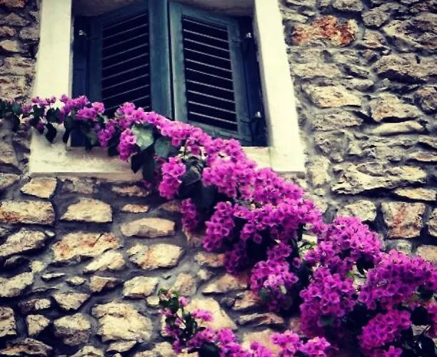 Dora 아파트 수페타르