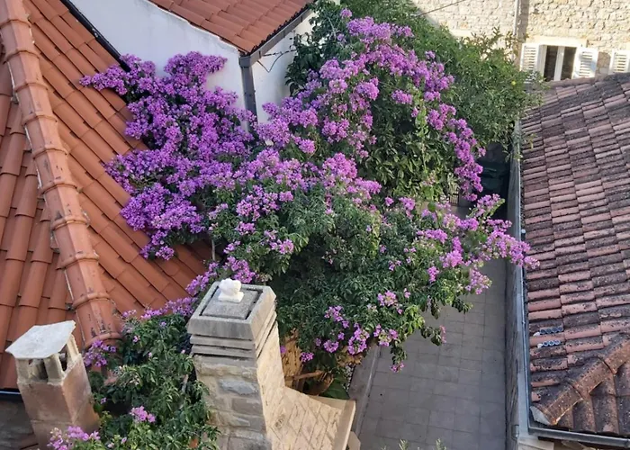 Dora 아파트 수페타르