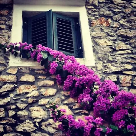 Dora アパート スペタル